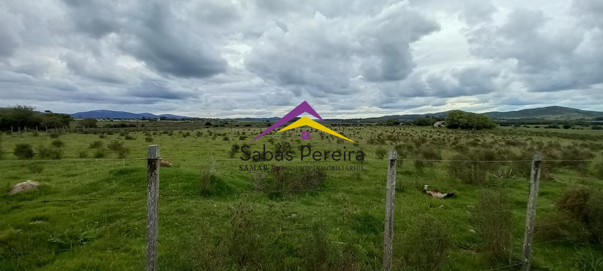 Zona Rural - GoPunta - Portal Inmobiliario de Punta del Este - Maldonado