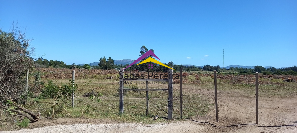 Chacra ID.41230 - Venta Chacra 18ha con casa sobre ruta 9, Pan de Azúcar, Maldonado