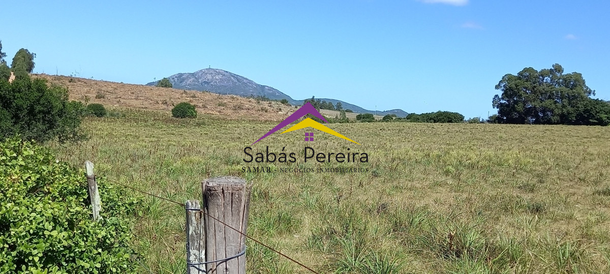 Pan de Azucar - GoPunta - Portal Inmobiliario de Punta del Este - Maldonado