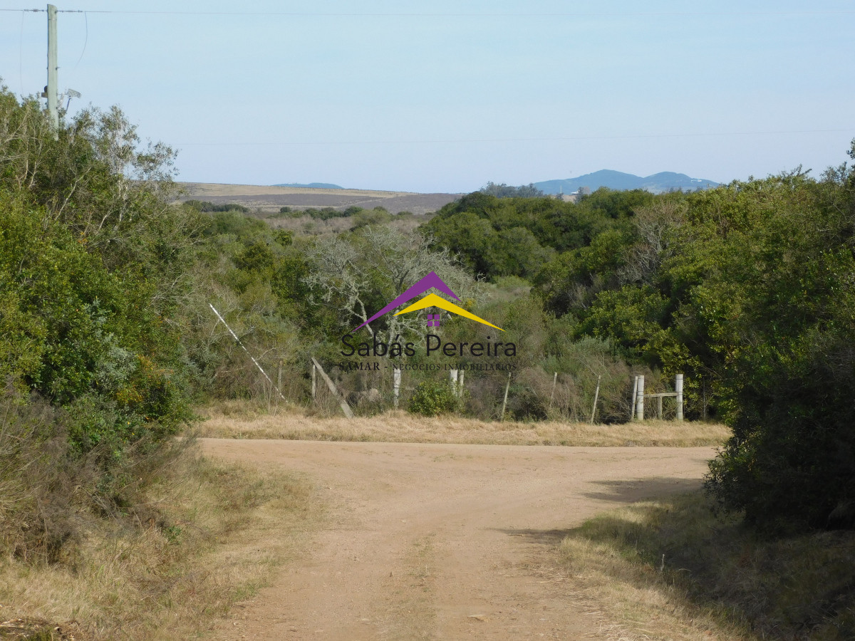Chacra ID.41458 - Venta chacra 40há, Pan de Azucar, Maldonado