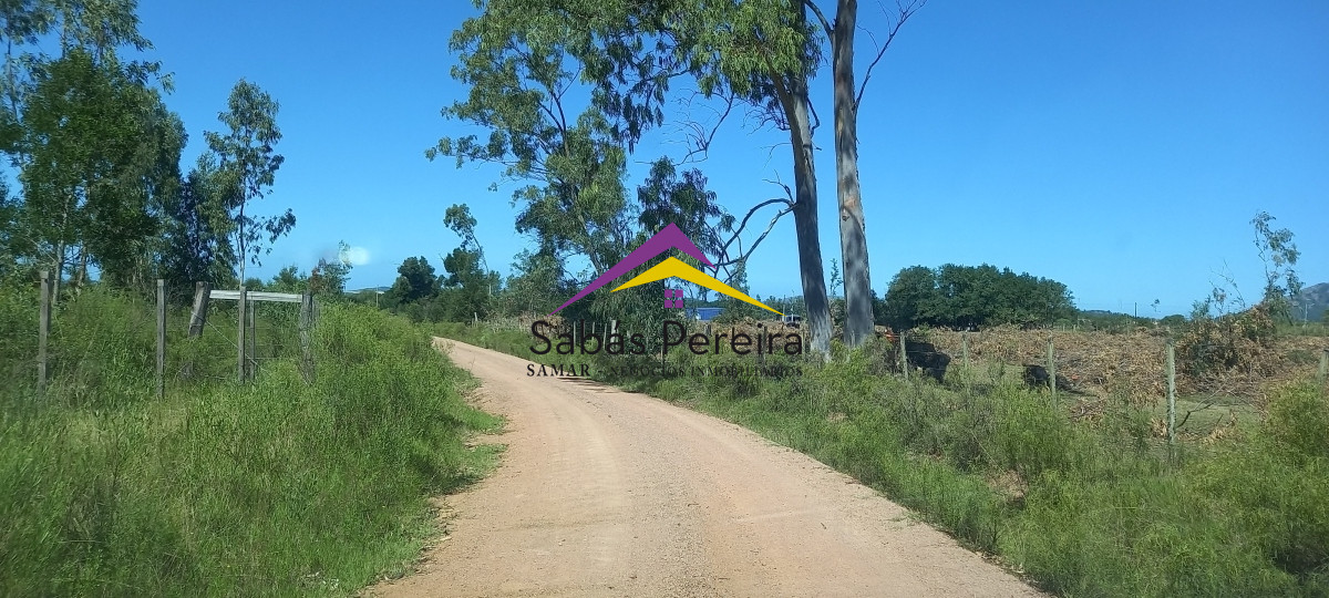 Chacra ID.41230 - Venta Chacra 18ha con casa sobre ruta 9, Pan de Azúcar, Maldonado