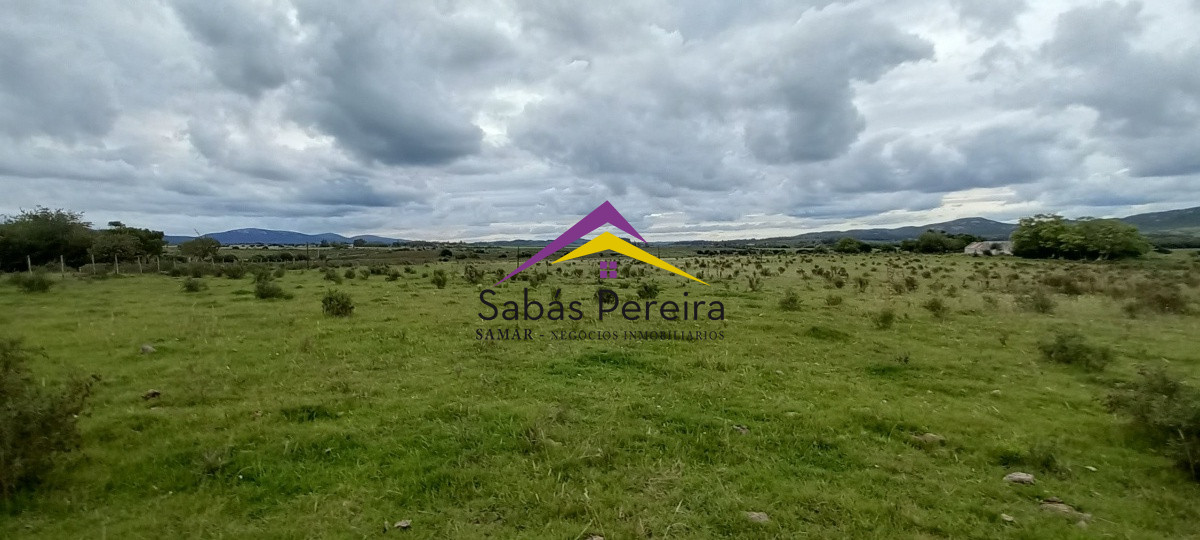 Chacra ID.41051 - Venta chacra de 10 hectáreas, Pan de Azúcar, Piriápolis, Maldonado