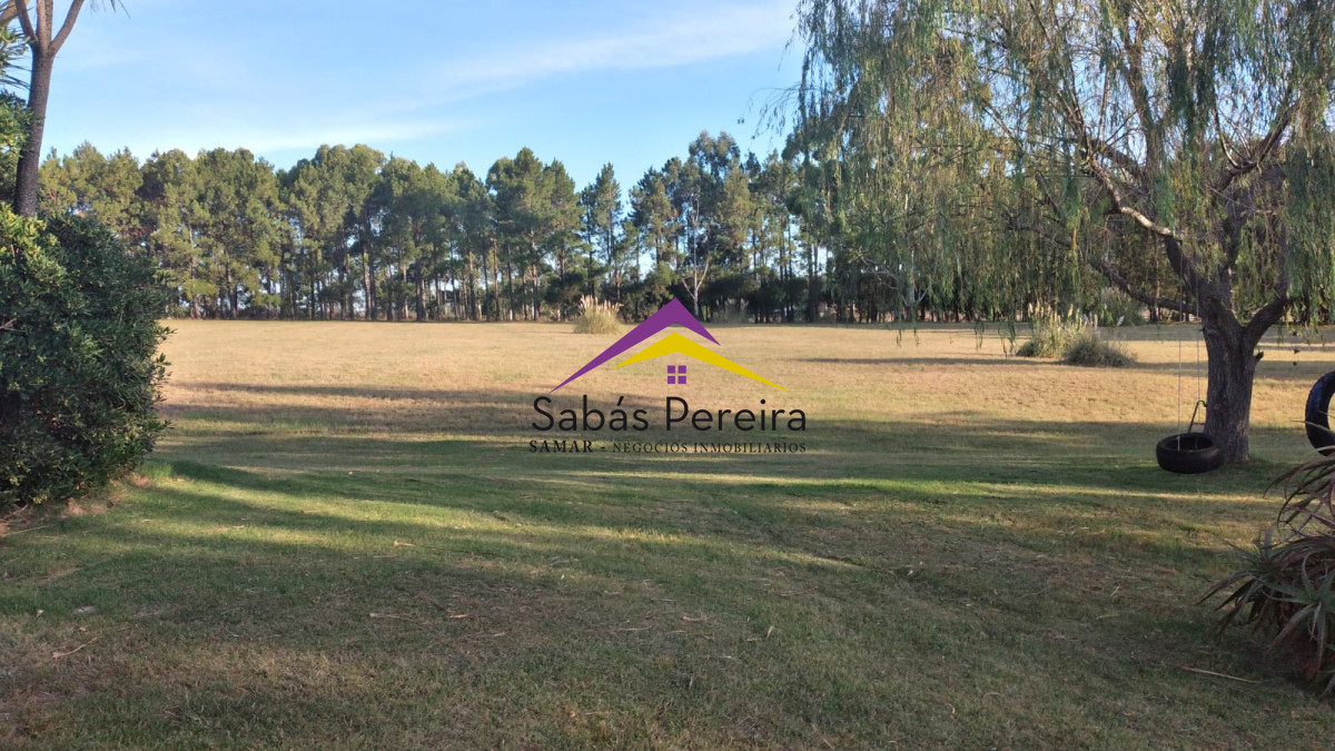 Chacra ID.41538 - Venta de Chacra en Quinta de Medina 5HÁS