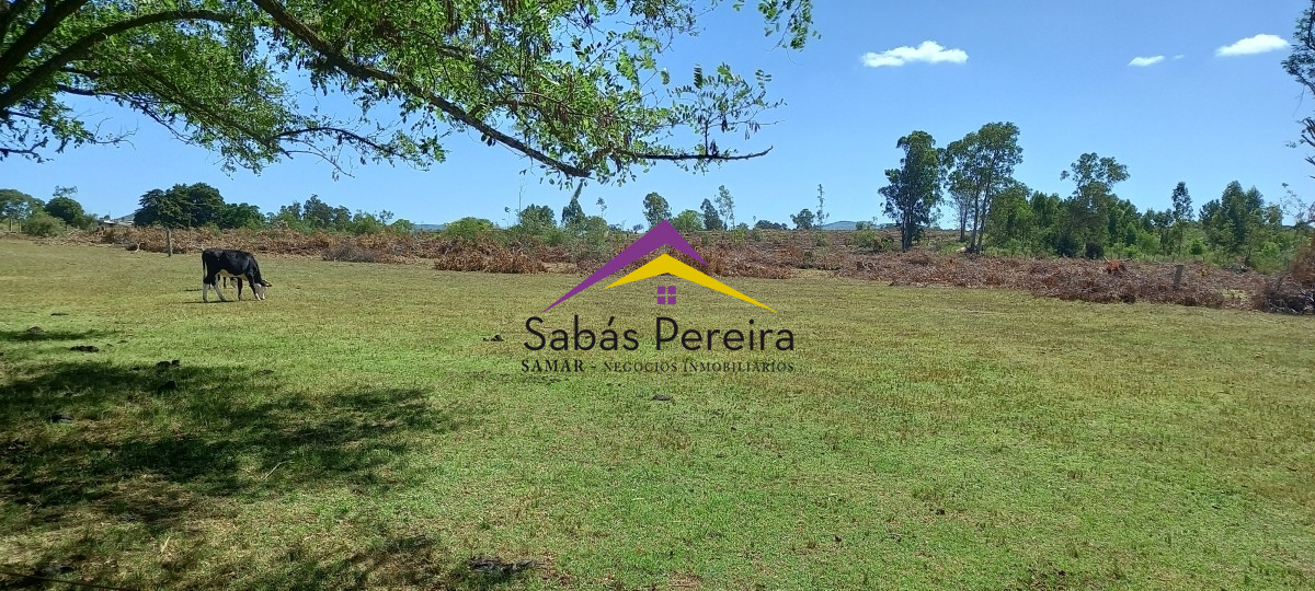 Chacra ID.41230 - Venta Chacra 18ha con casa sobre ruta 9, Pan de Azúcar, Maldonado