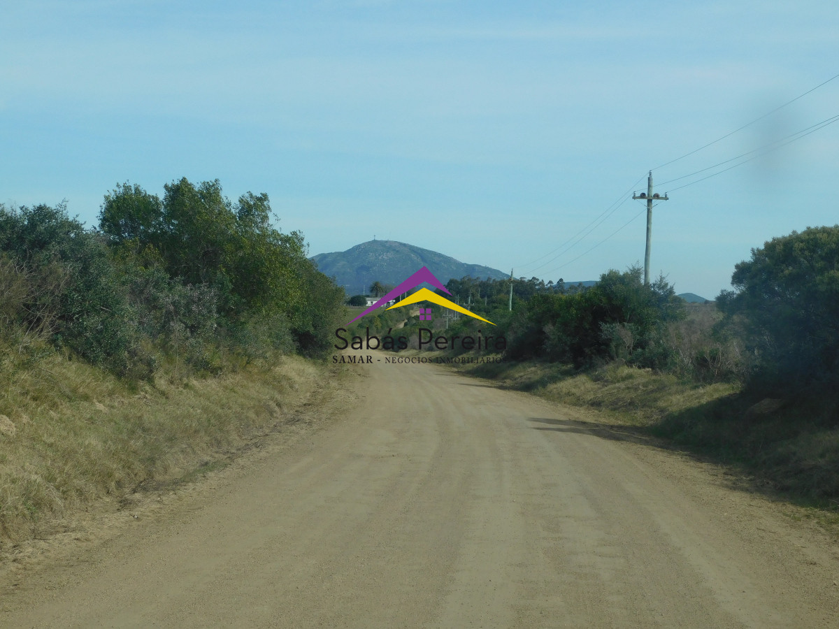 Chacra ID.41458 - Venta chacra 40há, Pan de Azucar, Maldonado