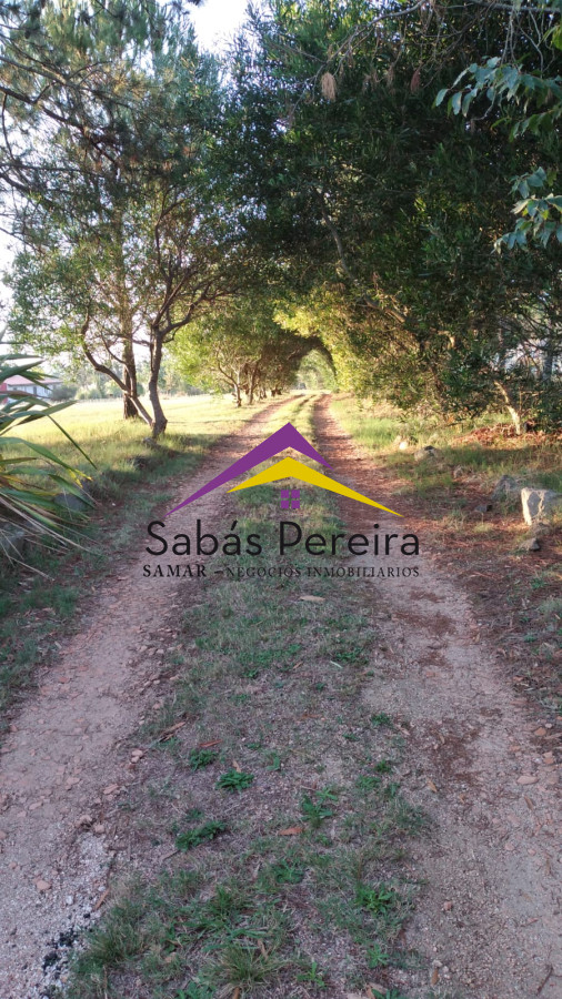 Chacra ID.41538 - Venta de Chacra en Quinta de Medina 5HÁS