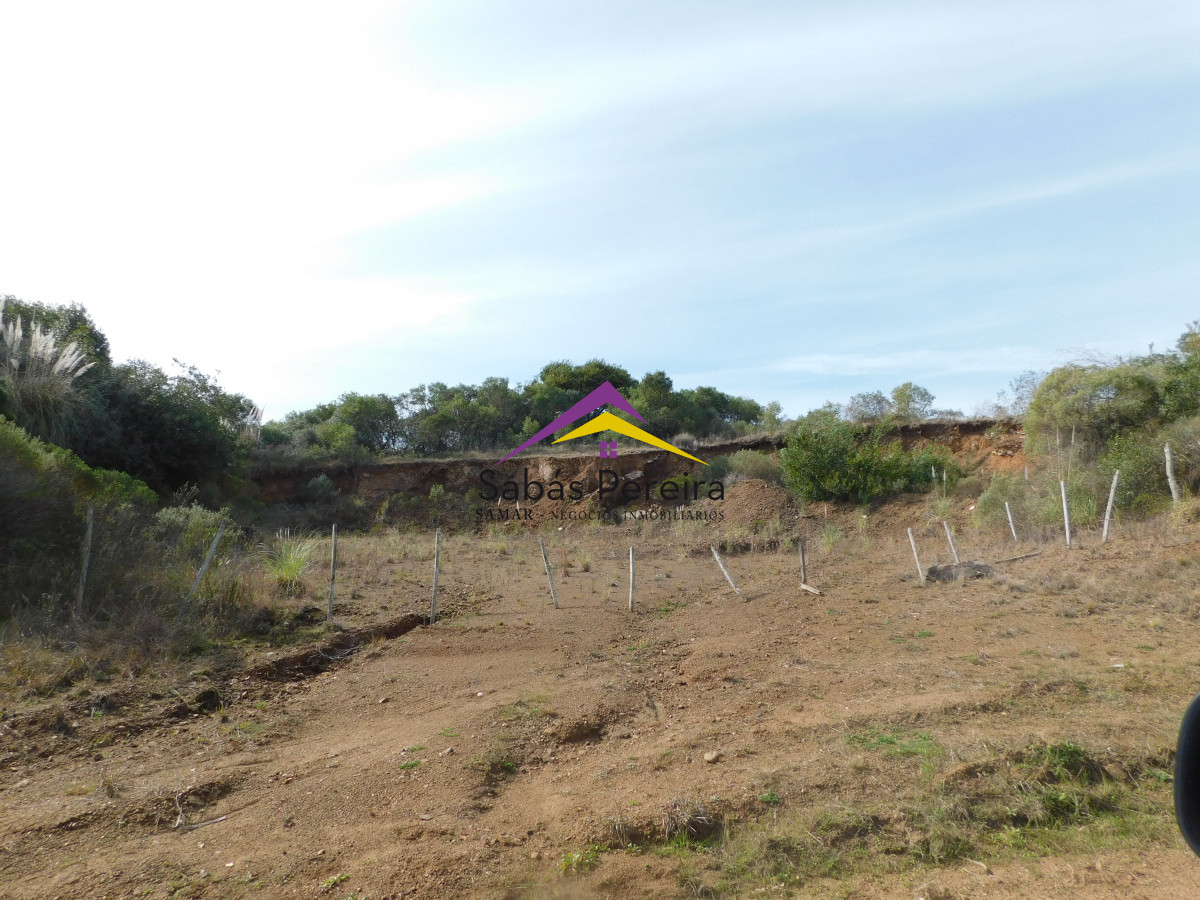 Chacra ID.41458 - Venta chacra 40há, Pan de Azucar, Maldonado