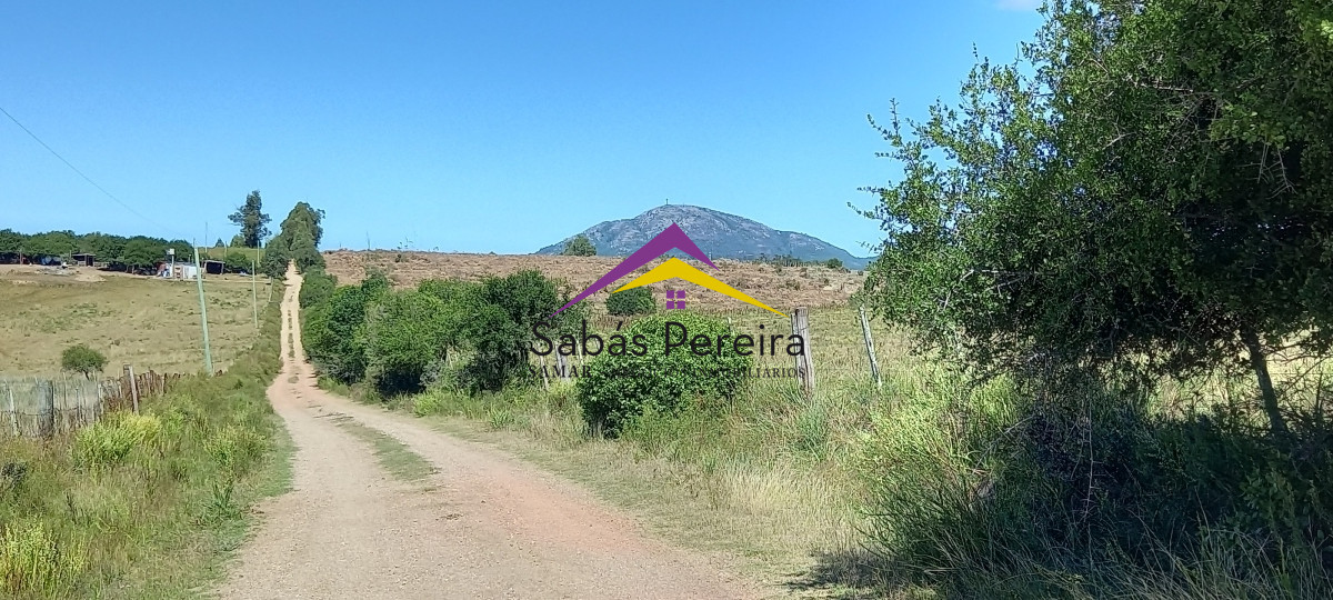 Pan de Azucar - GoPunta - Portal Inmobiliario de Punta del Este - Maldonado