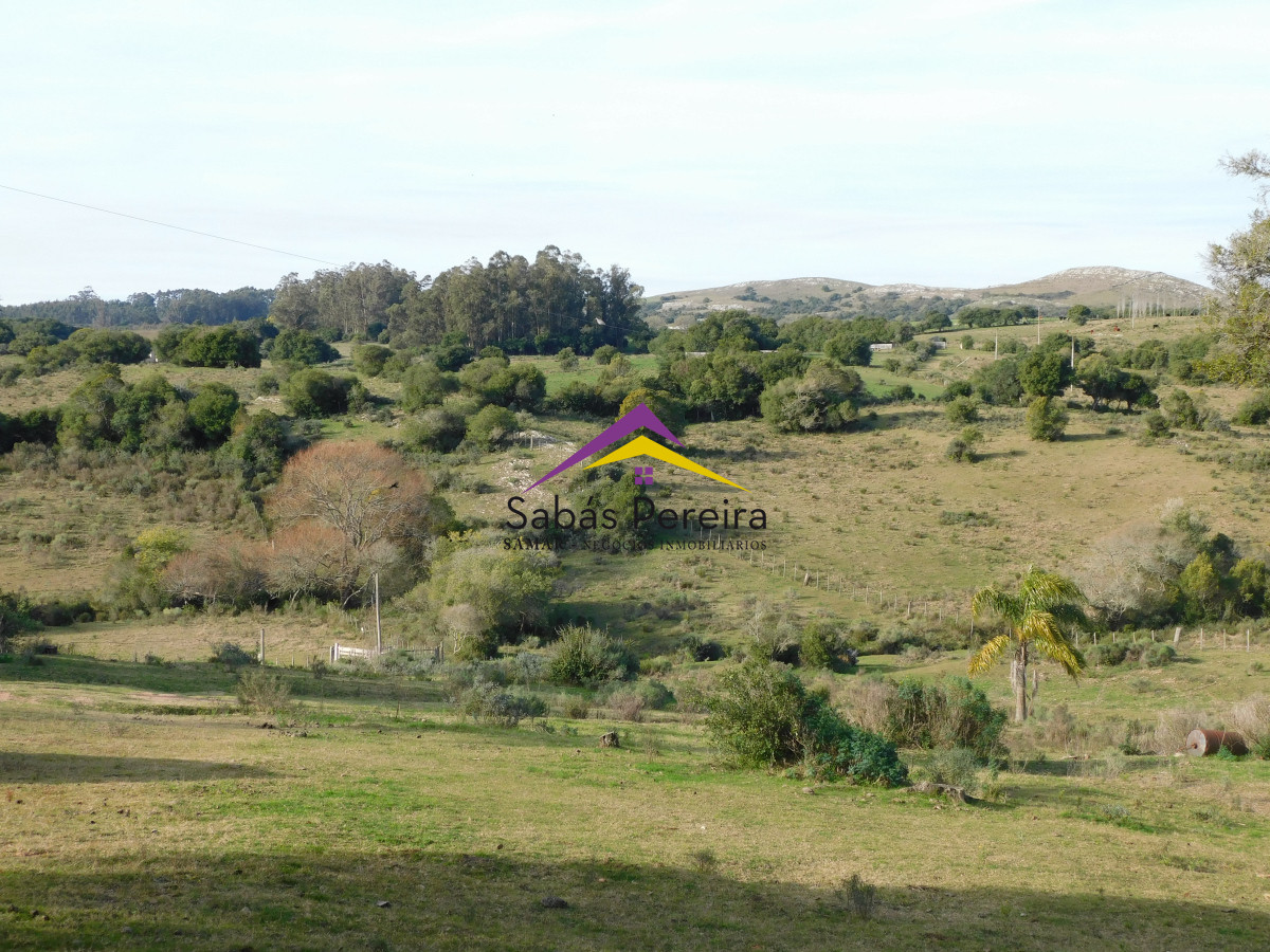 Chacra ID.41459 - Venta chacra con casa sobre ruta 60 de 20há, Lavalleja.
