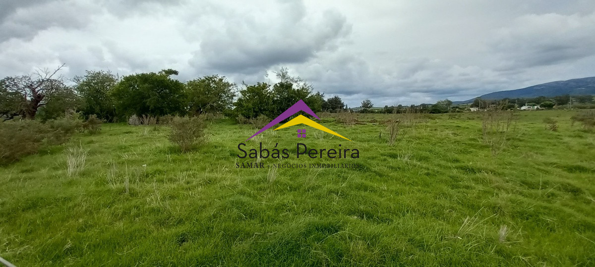 Chacra ID.41051 - Venta chacra de 10 hectáreas, Pan de Azúcar, Piriápolis, Maldonado