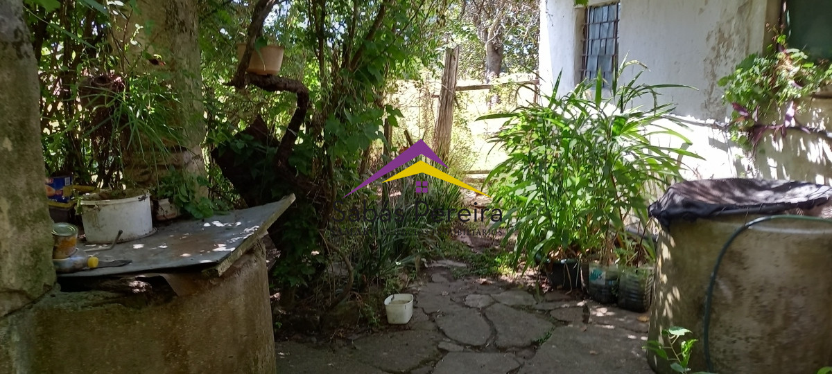 Chacra ID.41230 - Venta Chacra 18ha con casa sobre ruta 9, Pan de Azúcar, Maldonado