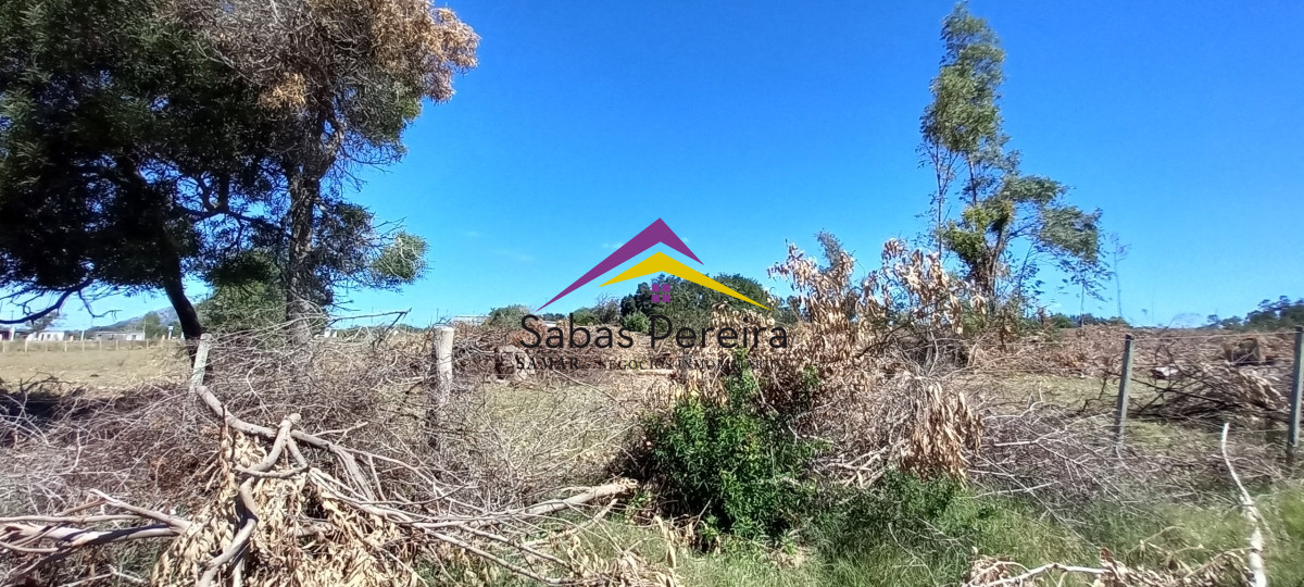 Chacra ID.41230 - Venta Chacra 18ha con casa sobre ruta 9, Pan de Azúcar, Maldonado