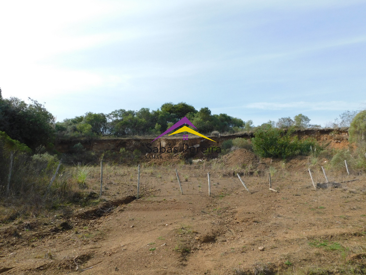 Chacra ID.41458 - Venta chacra 40há, Pan de Azucar, Maldonado