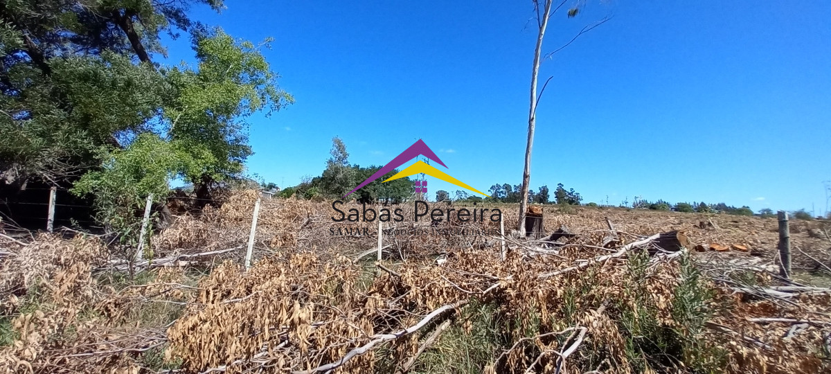 Chacra ID.41230 - Venta Chacra 18ha con casa sobre ruta 9, Pan de Azúcar, Maldonado