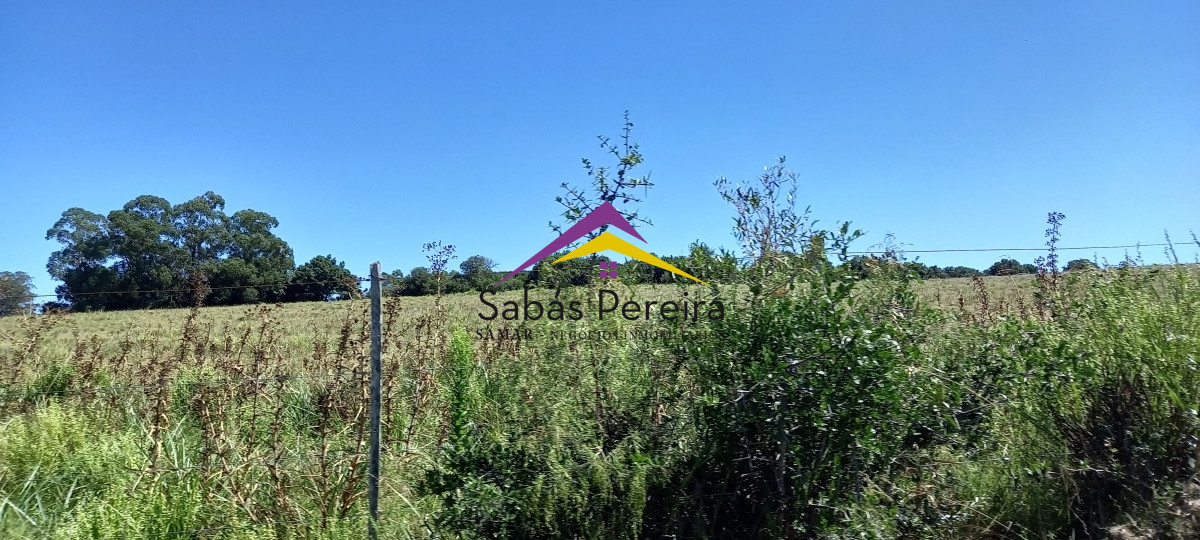 Chacra ID.41230 - Venta Chacra 18ha con casa sobre ruta 9, Pan de Azúcar, Maldonado