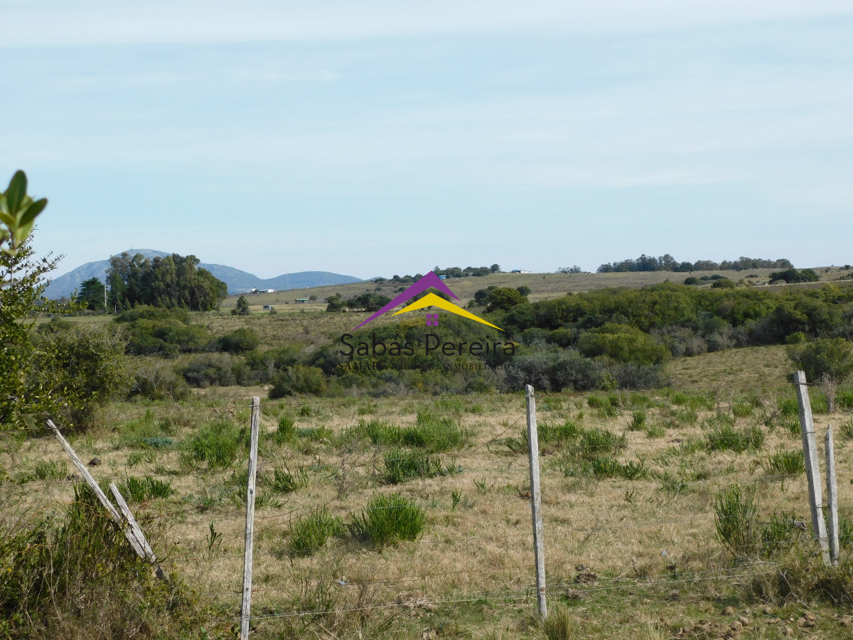 Chacra ID.41458 - Venta chacra 40há, Pan de Azucar, Maldonado