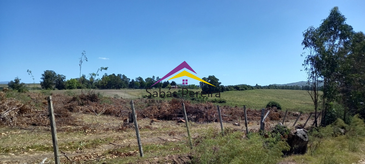 Chacra ID.41230 - Venta Chacra 18ha con casa sobre ruta 9, Pan de Azúcar, Maldonado