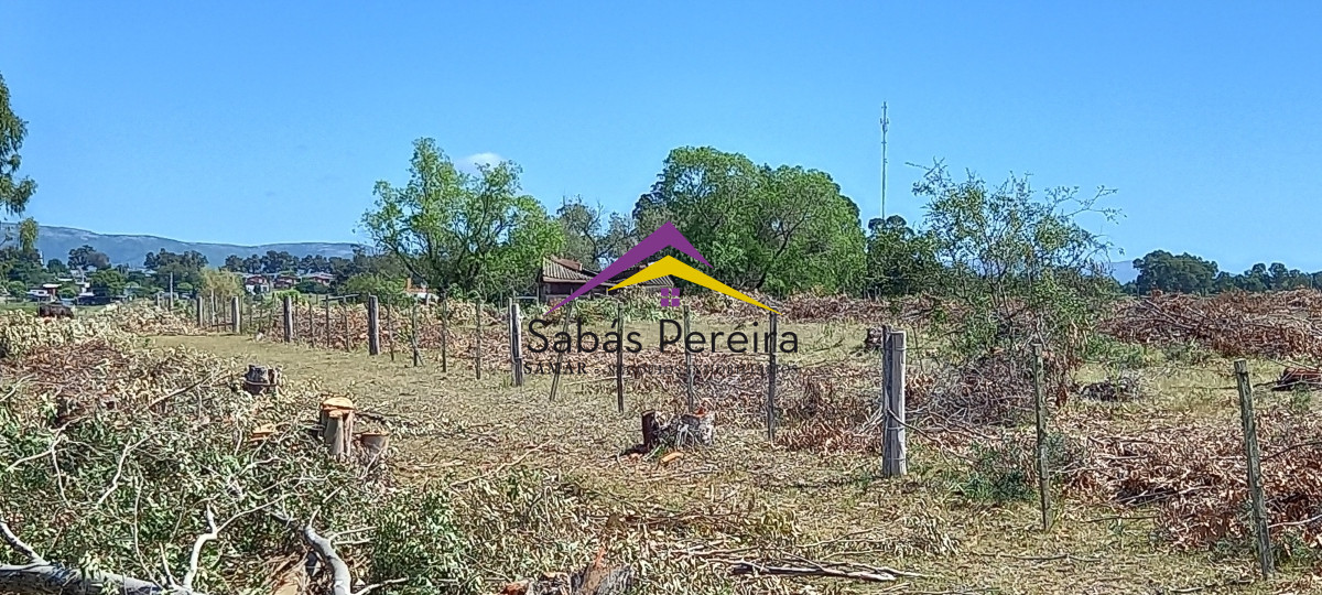 Chacra ID.41230 - Venta Chacra 18ha con casa sobre ruta 9, Pan de Azúcar, Maldonado