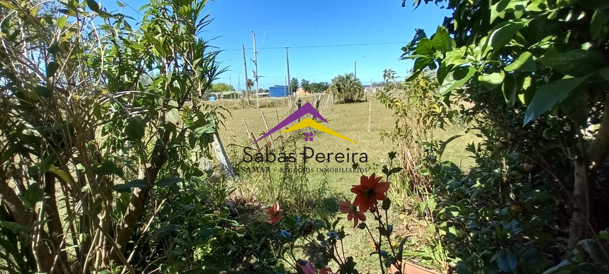 Chacra ID.41230 - Venta Chacra 18ha con casa sobre ruta 9, Pan de Azúcar, Maldonado