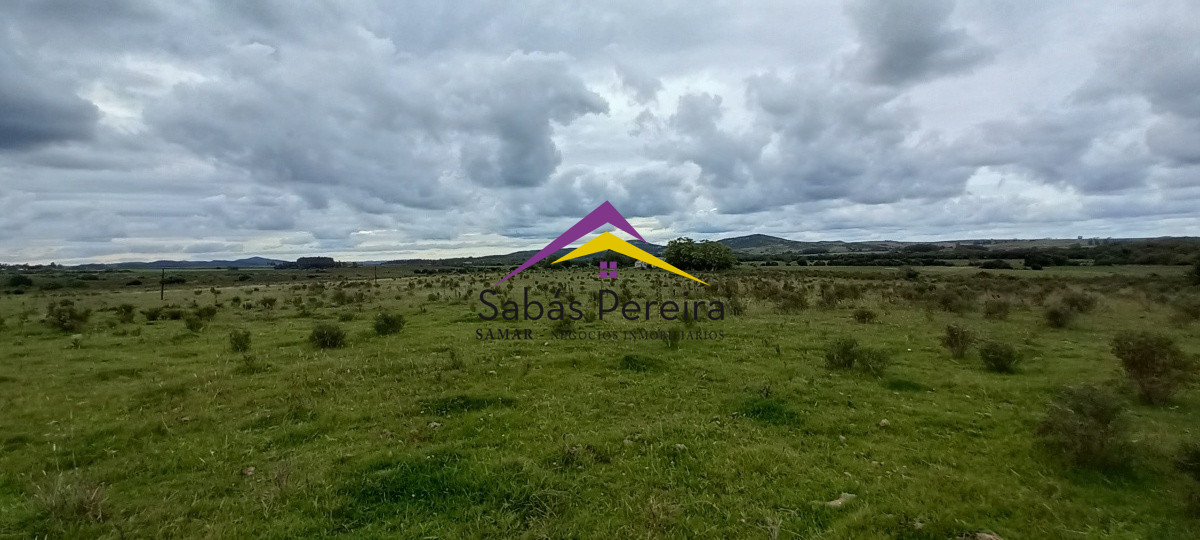 Chacra ID.41051 - Venta chacra de 10 hectáreas, Pan de Azúcar, Piriápolis, Maldonado