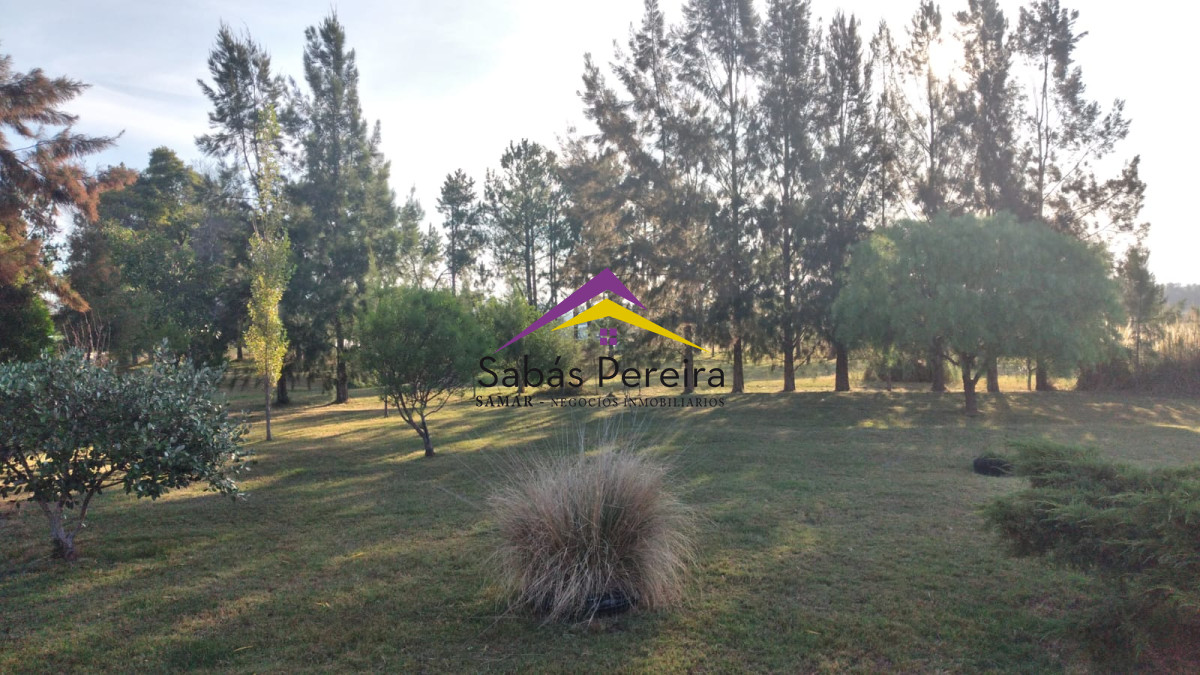 Chacra ID.41538 - Venta de Chacra en Quinta de Medina 5HÁS