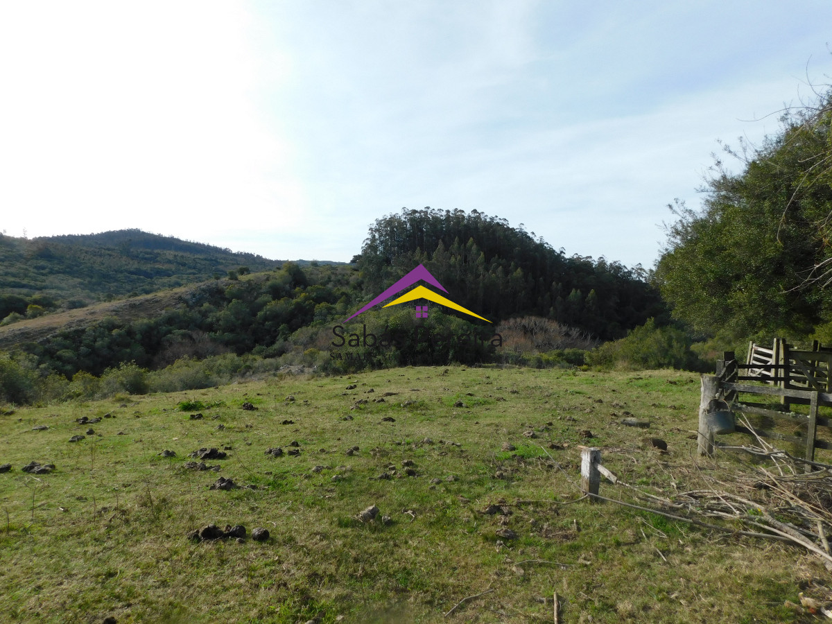Chacra ID.41459 - Venta chacra con casa sobre ruta 60 de 20há, Lavalleja.