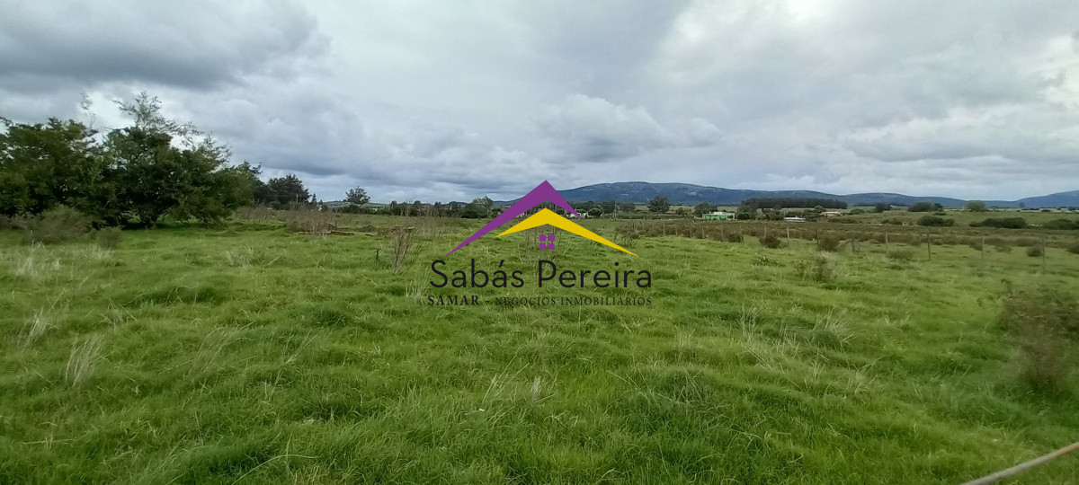 Chacra ID.41051 - Venta chacra de 10 hectáreas, Pan de Azúcar, Piriápolis, Maldonado