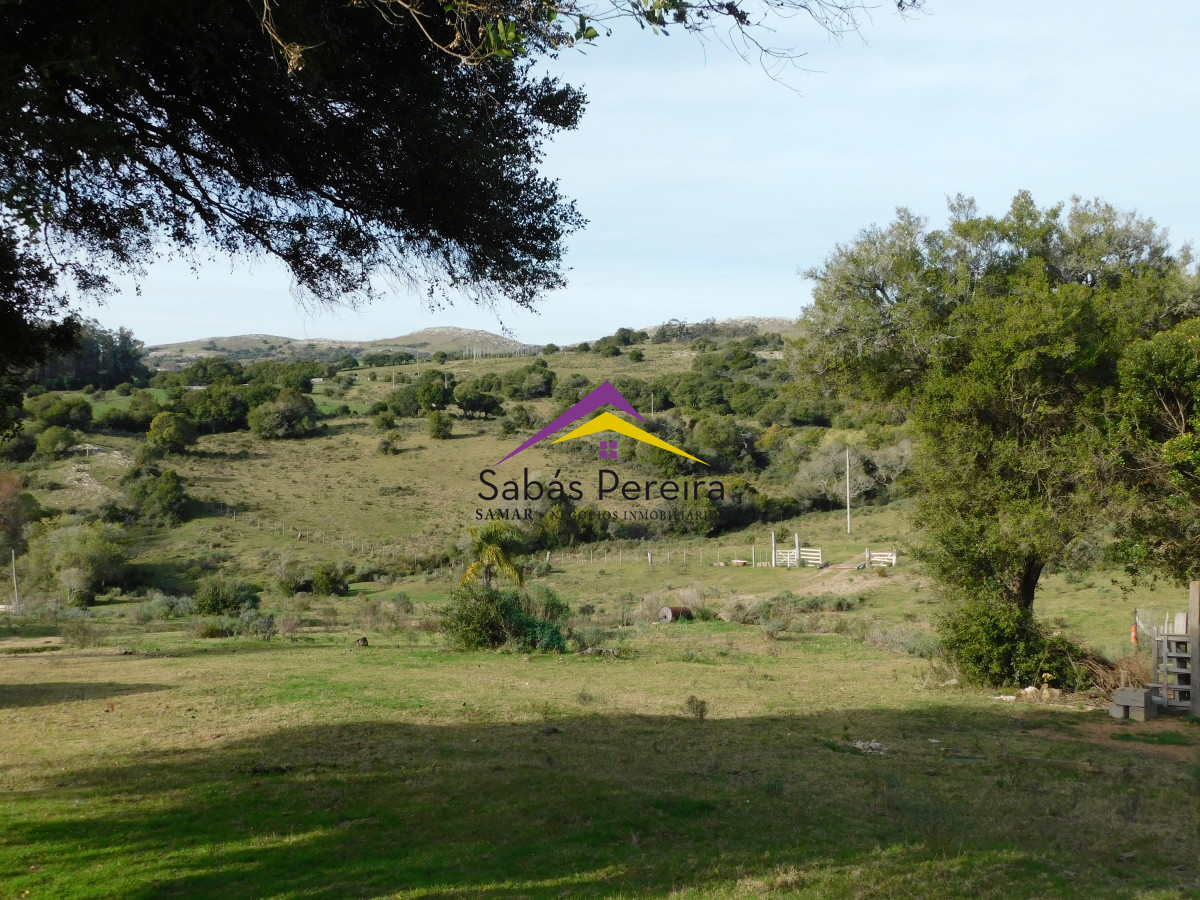 Chacra ID.41459 - Venta chacra con casa sobre ruta 60 de 20há, Lavalleja.