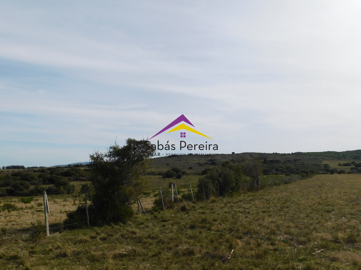 Chacra ID.41458 - Venta chacra 40há, Pan de Azucar, Maldonado