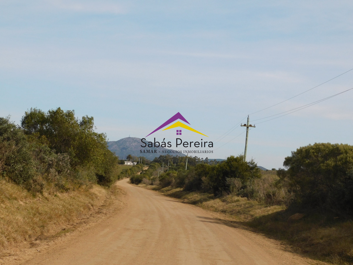 Chacra ID.41458 - Venta chacra 40há, Pan de Azucar, Maldonado