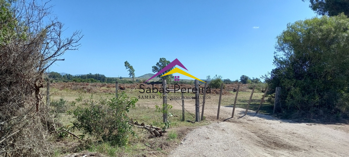 Chacra ID.41230 - Venta Chacra 18ha con casa sobre ruta 9, Pan de Azúcar, Maldonado