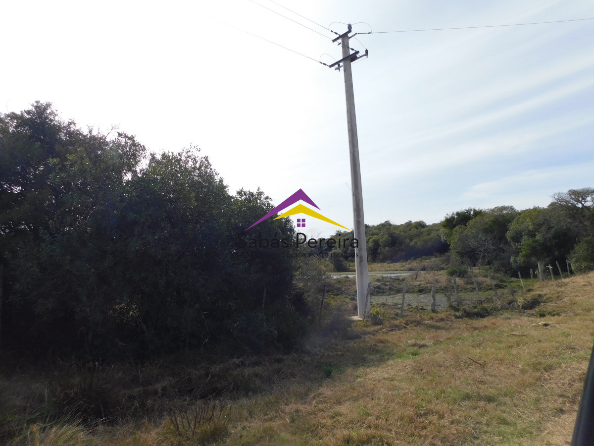Chacra ID.41458 - Venta chacra 40há, Pan de Azucar, Maldonado