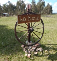 CHACRA EN VENTA  15ha, ruta 12 Lavalleja