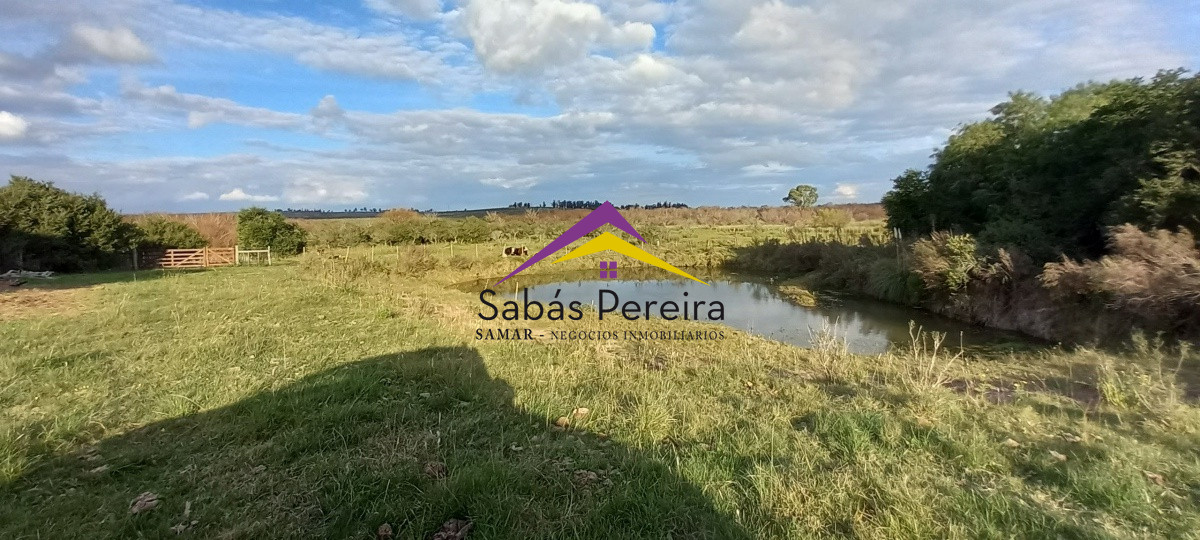 Campo Ref.41059 - Venta Fabrica de Ladrillos . Pan de Azúcar, Piriapolis, Maldonado.