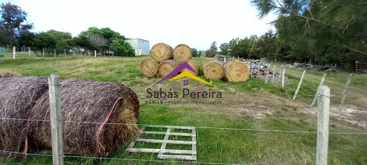 Campo Ref.41059 - Venta Fabrica de Ladrillos . Pan de Azúcar, Piriapolis, Maldonado.