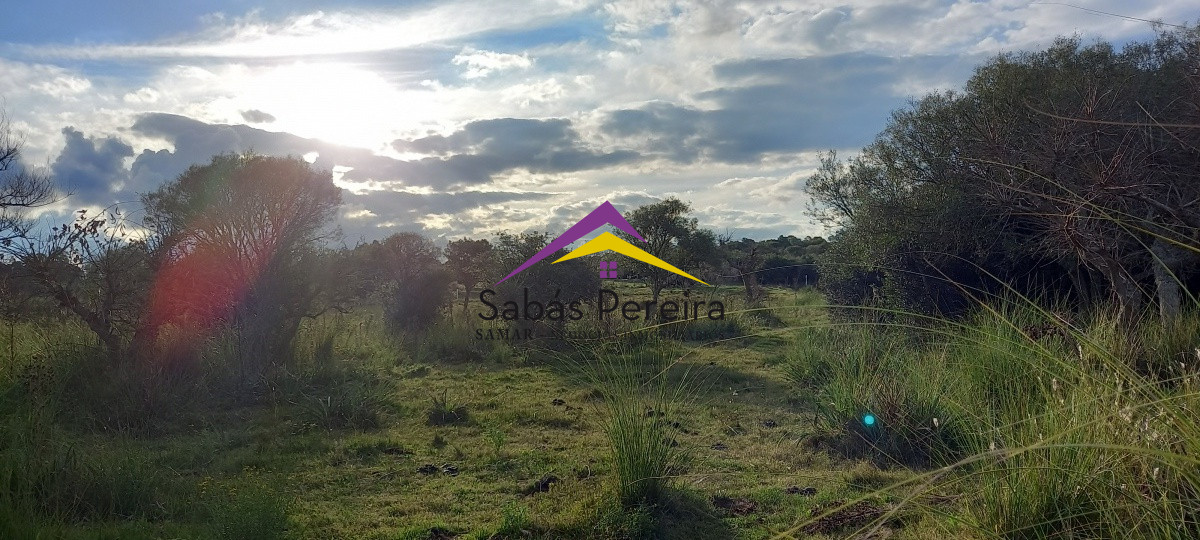 Campo Ref.41059 - Venta Fabrica de Ladrillos . Pan de Azúcar, Piriapolis, Maldonado.
