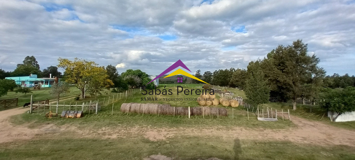 Campo Ref.41059 - Venta Fabrica de Ladrillos . Pan de Azúcar, Piriapolis, Maldonado.