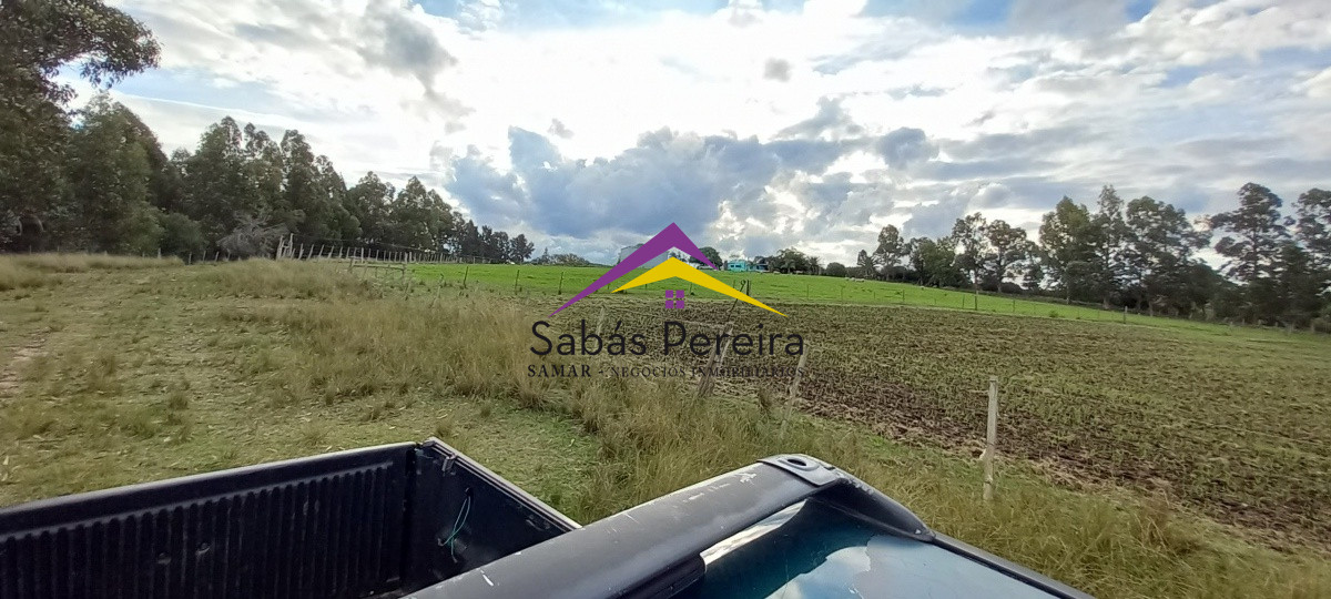 Campo Ref.41059 - Venta Fabrica de Ladrillos . Pan de Azúcar, Piriapolis, Maldonado.