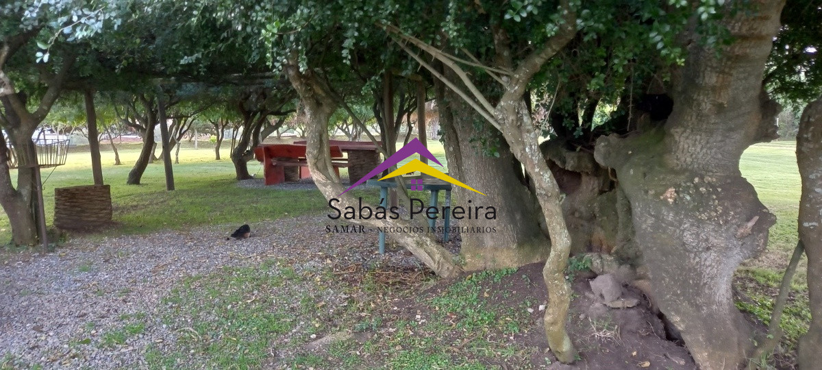 Campo Ref.41059 - Venta Fabrica de Ladrillos . Pan de Azúcar, Piriapolis, Maldonado.