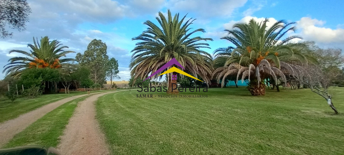 Campo Ref.41059 - Venta Fabrica de Ladrillos . Pan de Azúcar, Piriapolis, Maldonado.