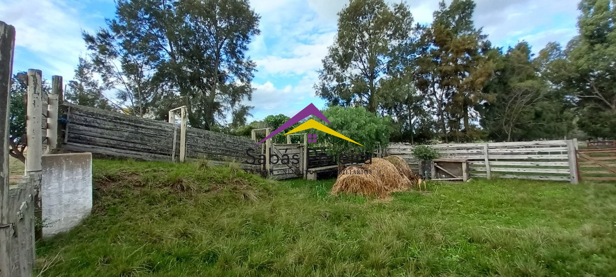 Campo Ref.41059 - Venta Fabrica de Ladrillos . Pan de Azúcar, Piriapolis, Maldonado.