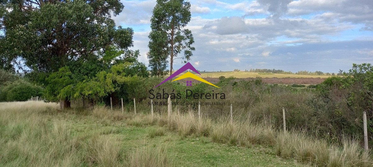 Campo Ref.41059 - Venta Fabrica de Ladrillos . Pan de Azúcar, Piriapolis, Maldonado.