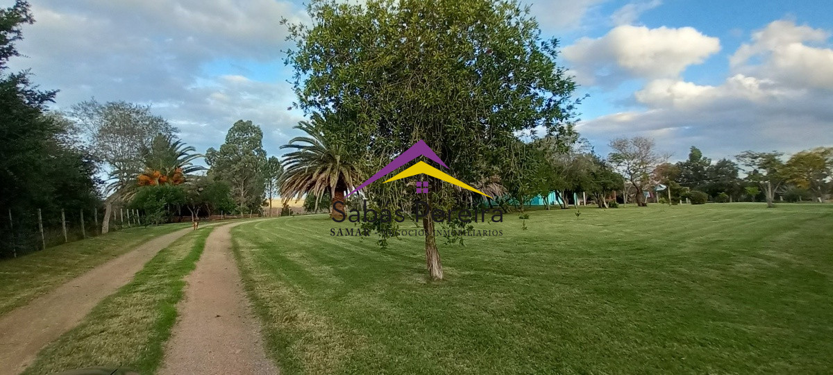 Campo Ref.41059 - Venta Fabrica de Ladrillos . Pan de Azúcar, Piriapolis, Maldonado.
