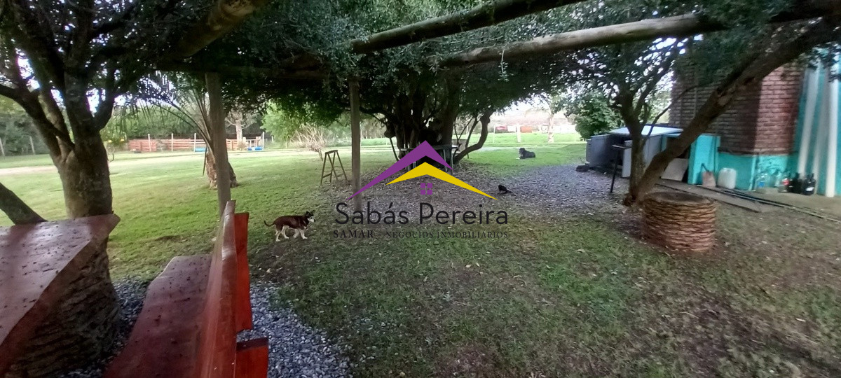 Campo Ref.41059 - Venta Fabrica de Ladrillos . Pan de Azúcar, Piriapolis, Maldonado.