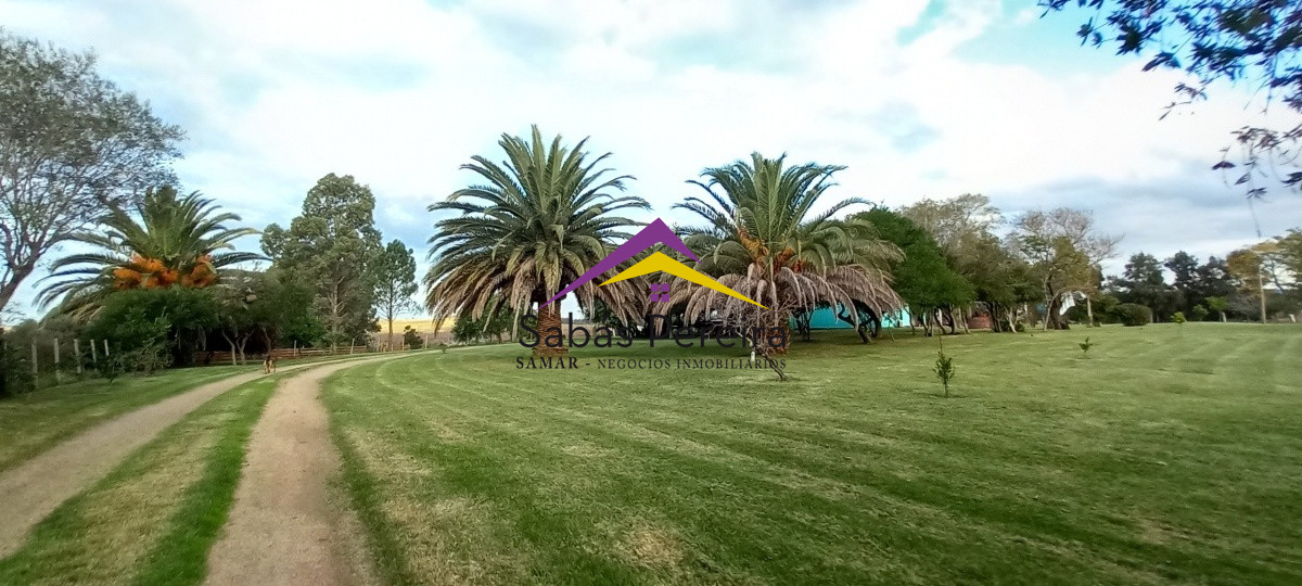 Campo Ref.41059 - Venta Fabrica de Ladrillos . Pan de Azúcar, Piriapolis, Maldonado.