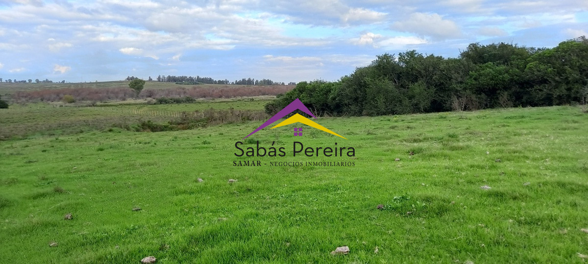 Campo Ref.41059 - Venta Fabrica de Ladrillos . Pan de Azúcar, Piriapolis, Maldonado.