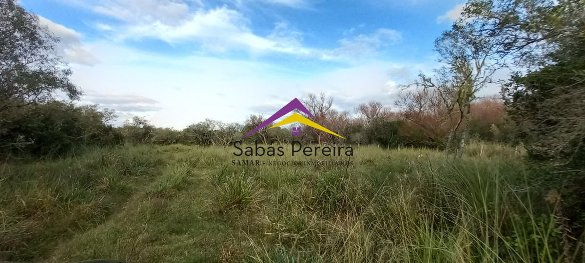 Campo Ref.41059 - Venta Fabrica de Ladrillos . Pan de Azúcar, Piriapolis, Maldonado.