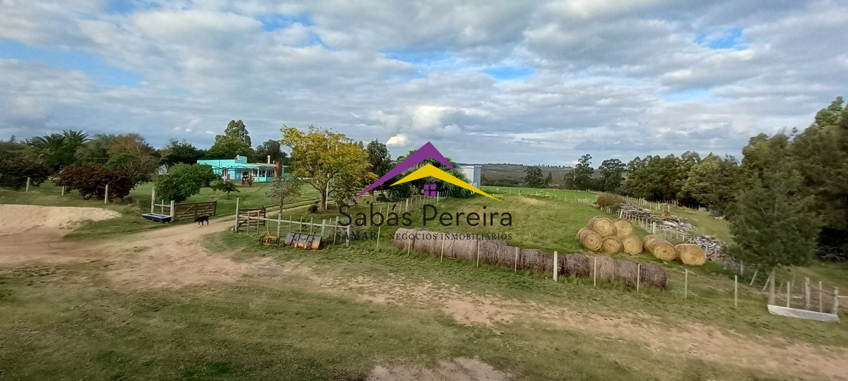 Campo Ref.41059 - Venta Fabrica de Ladrillos . Pan de Azúcar, Piriapolis, Maldonado.