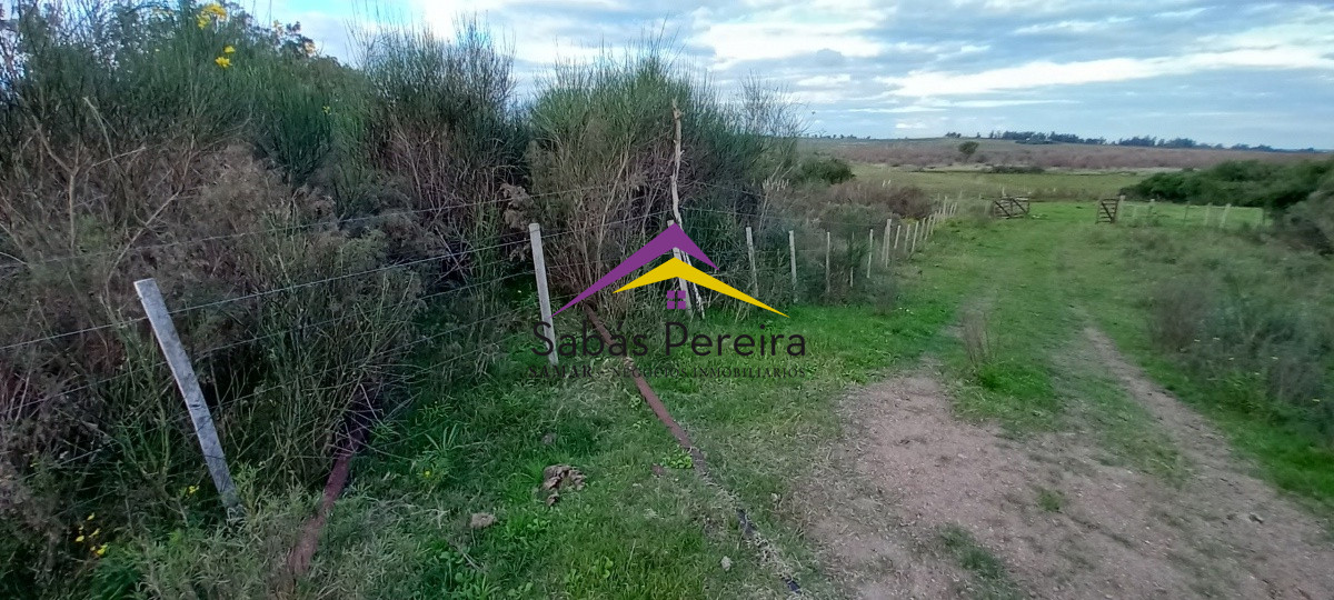 Campo Ref.41059 - Venta Fabrica de Ladrillos . Pan de Azúcar, Piriapolis, Maldonado.