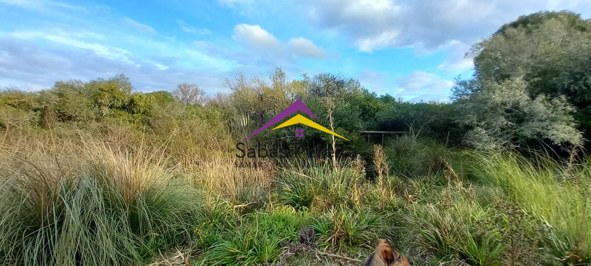 Campo Ref.41059 - Venta Fabrica de Ladrillos . Pan de Azúcar, Piriapolis, Maldonado.